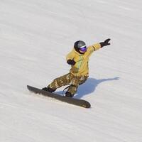 スキー Yoshi_cho Pink Yoshi 8